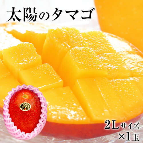 マンゴー 本場宮崎県産 マンゴー 太陽のタマゴ 果物の女王 1玉 （2Lサイズ/1玉約350g〜約499g） 化粧箱入り お中元 御中元 中元 フルーツギフト 健康 健康ギフト プレゼント 実用的 お取り寄せ お取り寄せグルメ 《6月下旬-7月上旬頃より発送予定》