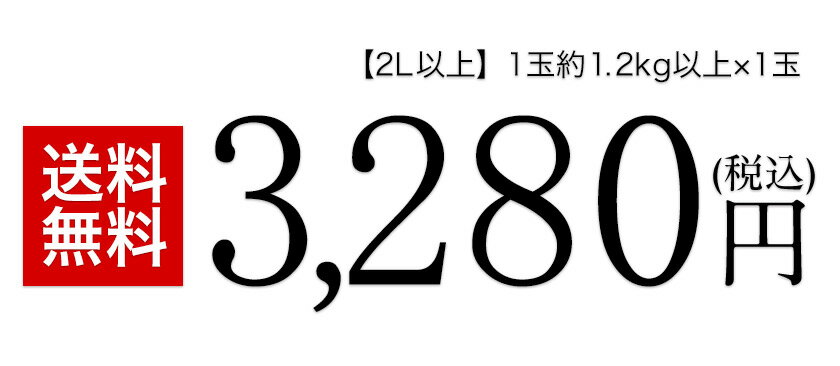 ギフト プレゼント 肥後グリーンメロン 1玉 秀品 2Lサイズ 熊本産 約1.2kg以上 高級 産地直送 送料無料 ギフト 贈答 フルーツギフト 高級 《配送予定に記載の日程でお届け》