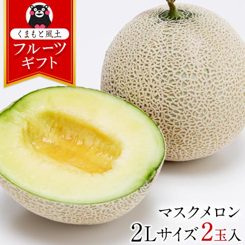 メロン 【2玉入りの満足感】九州産 マスクメロン 2玉 送料無料 秀品 2Lサイズ 1.2kg以上×2玉 贈答 贈り物 中元 熨斗 のし フルーツギフト プレゼント 実用的 1玉 以上 《7-14営業日以内に出荷予定(土日祝除く)》