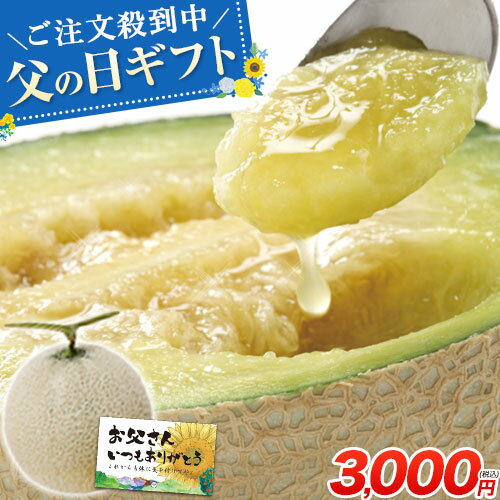 【父の日ギフトに◎】九州産 秀品 マスクメロン 大玉3Lサイズ× 1玉 送料無料 約1.5kg以上 熨斗 ご贈答 フルーツ ギフト メロン 高級 熨斗 のし 実用的《7-14営業日以内に出荷予定(土日祝日除く)》