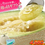 マスクメロン 九州産 秀品 メロン お中元【当店一番人気の3Lサイズ】大玉3Lサイズ 1玉 送料無料 約1.5kg以上 熨斗 ご贈答 フルーツ ギフト メロン 高級 熨斗 のし 《5月上旬-5月中旬頃より発送予定》