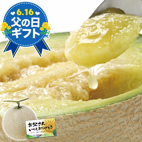 【父の日 ギフト 】 九州産 マスクメロン メロン 秀品 2Lサイズ 1玉 送料無料 約1.2kg以上 熨斗 のし 贈り物 フルーツギフト 実用的 贈答 メロン プレゼント 《ご選択された日程でお届け予定》