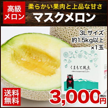 【送料無料】熊本産 マスクメロン 1玉【秀品:3Lサイズ】1玉約1.5kg以上【楽ギフ_】《7-14営業日以内に出荷予定(土日祝日除く)》