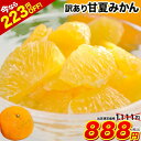 愛媛・高知産 産 小夏 5kg 訳あり・不揃い【送料無料(一部地域除く)】愛媛県産 こなつ ニューサマーオレンジ 日向夏 土佐小夏 家庭用 フルーツ 旬の果物 くだもの 果実 食品 みかん 蜜柑 柑橘類 かんきつ おやつ コロナ おうち時間応援 春の味覚 産地直送