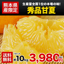 送料無料！秀品★熊本産甘夏みかん約10kg/3L〜Mサイズ★...