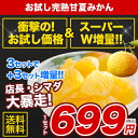 ＼衝撃！赤字覚悟のお試し規格／【送料無料】お試し完熟甘夏みか...