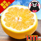 ＼速攻出荷！／ 河内晩柑 送料無料 1.5kg 和製 グレープフルーツ 2セット以上で増量おまけ付き 旬 の フルーツ 果物 みかん 訳あり 夏文旦 晩柑 愛南ゴールド 宇和ゴールド ジューシーみかん と同品種 熊本県産 ポイント消化 《1-5営業日以内に発送予定(土日祝日除く)》