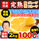 ＼期間限定★ポイント5倍／完熟和製グレープフルーツ2kg（河...