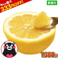 【2セットで333円OFF!】和製 グレープフルーツ 河内晩柑 1.5kg 送料無料 河内 晩柑 熊本県産 旬 の みかん 2セット購入で1セット・3セットなら3セットおまけ増量 合計9kg くまもと晩柑 sale セール《7-14営業日以内に出荷(土日祝日除く)》