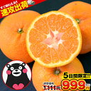 【5日間限定クーポンで1,111円⇒999円】みかん 大粒