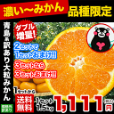 みかん 大粒 訳あり 1.5kg 熊本 送料無料 2l~5l...