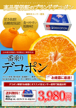 ご贈答にもピッタリ♪本場・熊本県産デコポン★送料無料★個別光センサー選果で高品質保証! デコポン優品約1.8kg前後〜約2kg前後【楽ギフ のし】《12月上旬〜12月末頃より順次出荷》