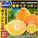 【早期予約ポイント2倍】ご贈答にもピッタリ♪本場・熊本県産一...