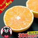 ＼2セット購入で300円OFF／ 5年連続ショップオブザイヤ...