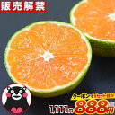 楽天市場人気商品