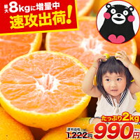 本日最終日速攻出荷★小玉 みかん 2kg 送料無料 訳あり【2セット以上で増量特典】ミカン 小粒 【5kg以下(5キロ・5k) 家庭用サイズ 箱買い】 果物 柑橘 九州 訳アリ だけど 小玉 で 甘い みかん わけあり《3-7営業日以内に発送予定(土日祝日除く)》