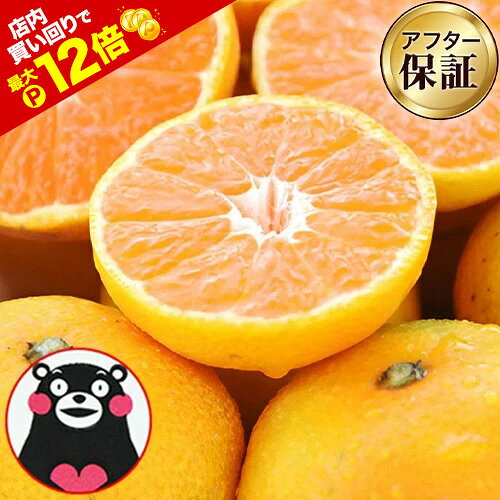 【★店内買い回りでP最大12倍★】【在庫復活★2セット以上でおまけ！】...(4)