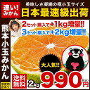 日本最速級9月出荷「熊本小玉みかん」家庭用訳あり2kg★【送...