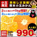 ＼2セット購入で+1kg、3セット購入なら+3kgオマケ増量...