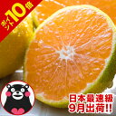 \早期予約特典ポイント10倍/...