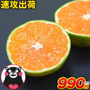 小玉 みかん 2kg 速攻出荷...