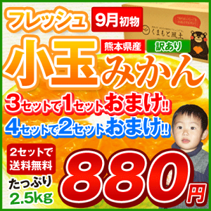 日本最速級9月より出荷！★数量限定！緊急入荷決定★熊本産訳ありフレッシュ小玉みかん1箱2.5kg！【数量限定】★【2セット購入で送料無料】3セット購入で1セット...