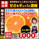 【送料無料】元祖「熊本小玉熟みかん」家庭用訳あり2kg★【2...