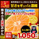 ＼期間限定★ポイント5倍／【送料無料】「熊本小玉完熟みかん」...