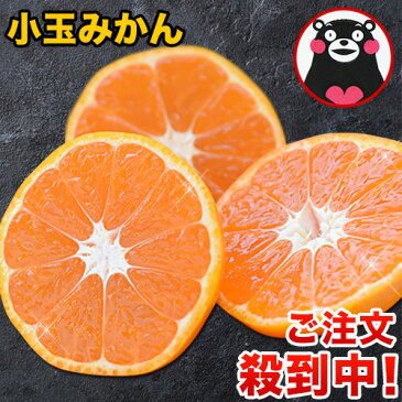 小玉 みかん 完熟 2kg 訳あり 送料無料 熊本 3s~s 2s サイズ 小粒 みかん小粒 温州 家庭用 果物 柑橘 九州 産地直送 食品 買い 箱 品種 通販 スイーツ《1月中旬-1月末頃より順次出荷》