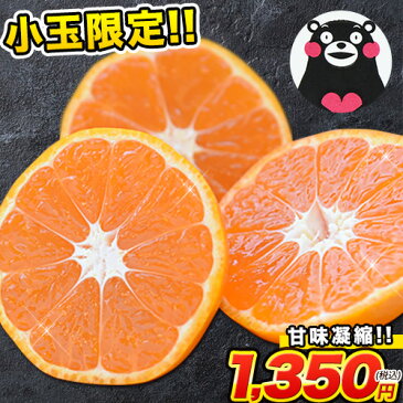 小玉 みかん 完熟 2kg 訳あり 送料無料 熊本 3s~s 2s サイズ 小粒 みかん小粒 温州 家庭用 果物 柑橘 九州 産地直送 食品 買い 箱 品種 通販 スイーツ《1月末-2月中旬頃より順次出荷》