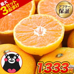 https://thumbnail.image.rakuten.co.jp/@0_mall/kumamoto-food/cabinet/00954548/mikan2/kodama/r_23kod001_07.jpg