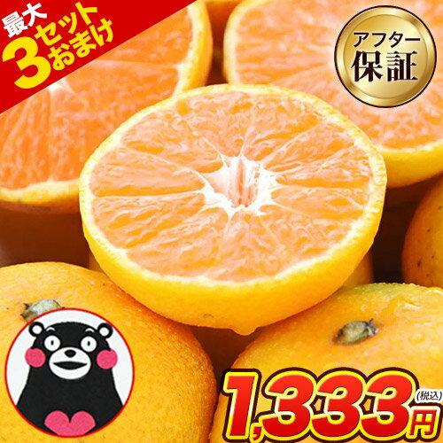 訳あり みかん 小玉みかん 1.5kg 甘い みかん ミカン mikan mikann 熊...