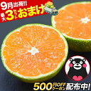 【枚数限定★3セット購入で500円OFFクーポン&3セット分おまけ】 小玉 みかん 送料無料 訳あり ミカン 小粒 1.5kg 【5kg以下(5キロ・5k) 家...