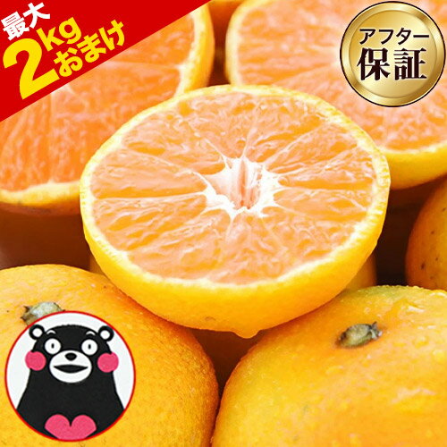 【★店内買い回りでP最大10倍★】【在庫復活★2セット以上でおまけ！】小玉 みかん 送料無料 訳あり ミカン 小粒 1.5kg【5kg以下(5キロ・5..