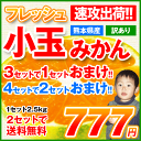 小玉みかんをお探しのお客様必見★速攻出荷★甘さ凝縮小粒タイプのみかん★数量限定!完売間近★熊本産訳ありフレッシュ小玉みかん1箱2.5kg!【数量限定】★【2セット購入で送料無料】3セット購入で1セットおまけ!※複数箱の場合1〜2箱におまとめして配送 - 【 くまもと風土 】