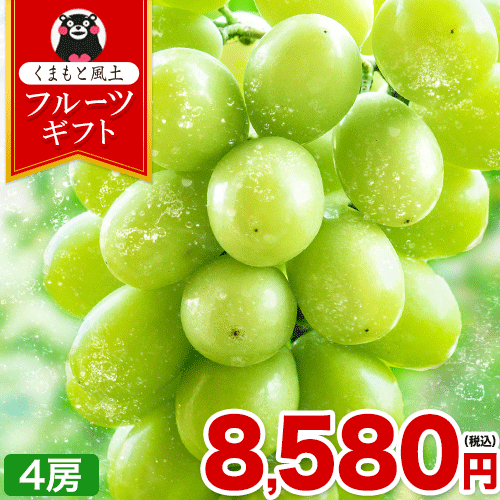 【★最大1500円OFF★送料無料】シャインマスカット 約1.2kg 約300g×4房 フルーツ ギフト 贈答用 プレゼント 果物 マスカット ぶどう ブドウ 九州産 皮ごと食べられる 熨斗 のし【クール便】《配送予定に記載の日程でお届け》のサムネイル