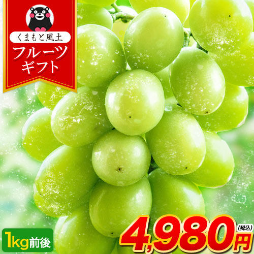 【最大1,500円OFF★送料無料 ★】 シャインマスカット 1kg前後 フルーツギフト 贈答用 プレゼント ギフト 果物 マスカット ぶどう ブドウ 九州産 皮ごと食べられる 【クール便】熨斗 のし《配送予定に記載の日程でお届け》のサムネイル