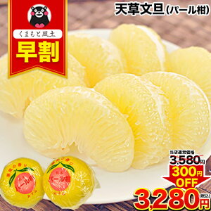 【今なら早割300円OFF!】天草文旦 (パール柑) 4L-3L/5-6玉入 約3kg前後 送料無料 柑橘の一大産地 熊本県 産 限定 贈答用 御歳暮 お歳暮 果物 フルーツ ギフト《12月上旬-12月末頃より発送予定》