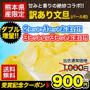 ＼2セットなら250円OFFクーポン／【送料無料】【ダブル増...