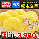 送料無料！青秀★熊本産文旦(パール柑)約10kg/13〜20...