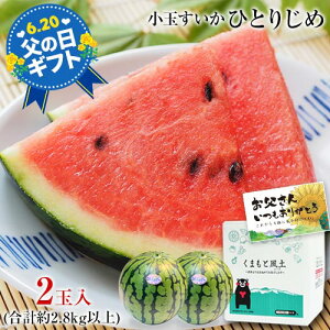 【父の日 ギフト プレゼント】スイカ 小玉 すいか 熊本 熊本県産 2Lサイズ×2玉 送料無料 生産量 日本一 父の日 お中元 フルーツギフト お取り寄せ お取り寄せグルメ《5月上旬~5月末頃より発送予定)》