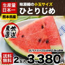 すいかの本場熊本県産【送料無料】熊本産小玉すいか ひとりじめ...