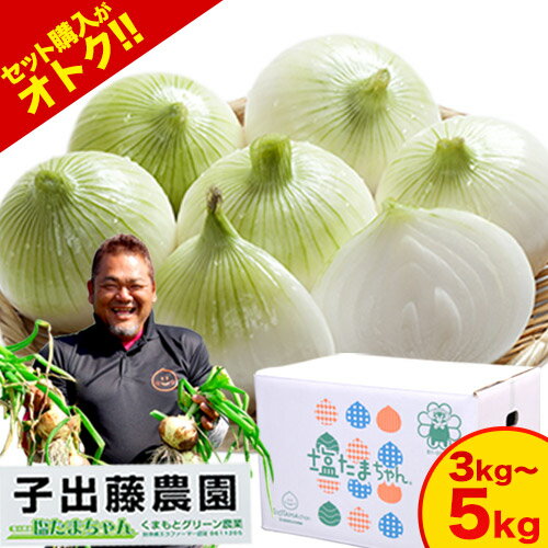 【セット購入がオトク!】 熊本県産 訳あり 塩たまちゃん 玉ねぎ たまねぎ 選べるお届け種類 訳あり 小玉 秀品 子出藤 (ねでふじ)さん 送料無料 塩タマネギ 新たまねぎ 塩玉ちゃん 塩玉 お取り寄せ お取り寄せグルメ《7-14営業日以内に出荷(土日祝除く)》