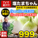 【2年連続SOYジャンル大賞受賞】塩たまねぎ テレビで紹介!...