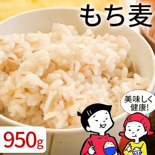 もち麦 もちむぎ たっぷり950g 1000円