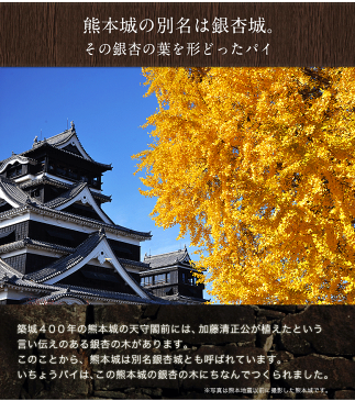 【1円タイムセール】【送料無料】【モンドセレクション2年連続金賞！】熊本の代表的なお土産・お菓子！熊本城いちょうパイ6個入《3〜7営業日以内に出荷(土日祝除く)》