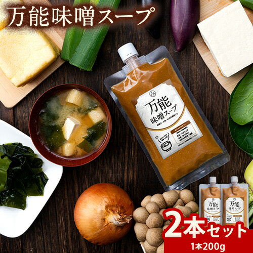 【新商品★販売解禁】 万能味噌スープ 味噌汁 和食 メール便 200ml お取り寄せ みそ 味噌 ミソ 送料無料..