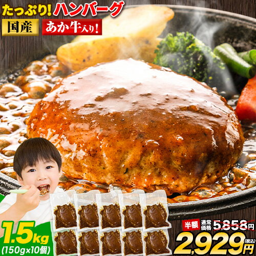 【ふるさと納税】【定期便】「別海牛チョップドインハンバーグ 100g×15個 」×【6回配送】（ はんばーぐ 牛ハンバーグ 牛はんばーぐ 惣菜 牛100% 牛肉100% 牛肉 牛 肉 北海道 赤身肉 赤身 国産 定期 にく 312000 312,000 312000円 312,000円 31万2千円 31万2千 ）