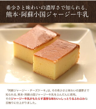 阿蘇 ジャージー チーズケーキ 1000円ぽっきり 希少 な ジャージー牛乳使用 送料無料 スイーツ 《7-14営業日以内に出荷(土日祝除く)》