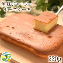 【今だけ1000円⇒900円】阿蘇 ジャージー チーズケーキ 1個 希少 な ジャージー牛乳使用 送料無料 スイーツ 《3-7営業日以内に出荷予定(土日祝日除く)》